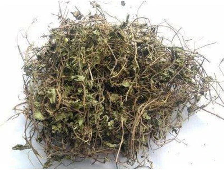 Brahmi Leaves Dried Bacopa Monnieri Ayurvedic