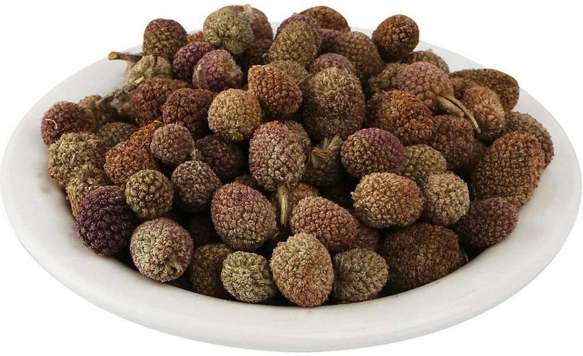 Gorakhmundi (Sphaeranthus Indicus) Ayurvedic Herb