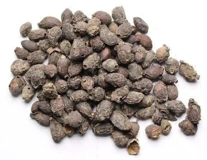 Jamun Guthli (Jamun Seed) Ayurvedic Support Blood Sugar
