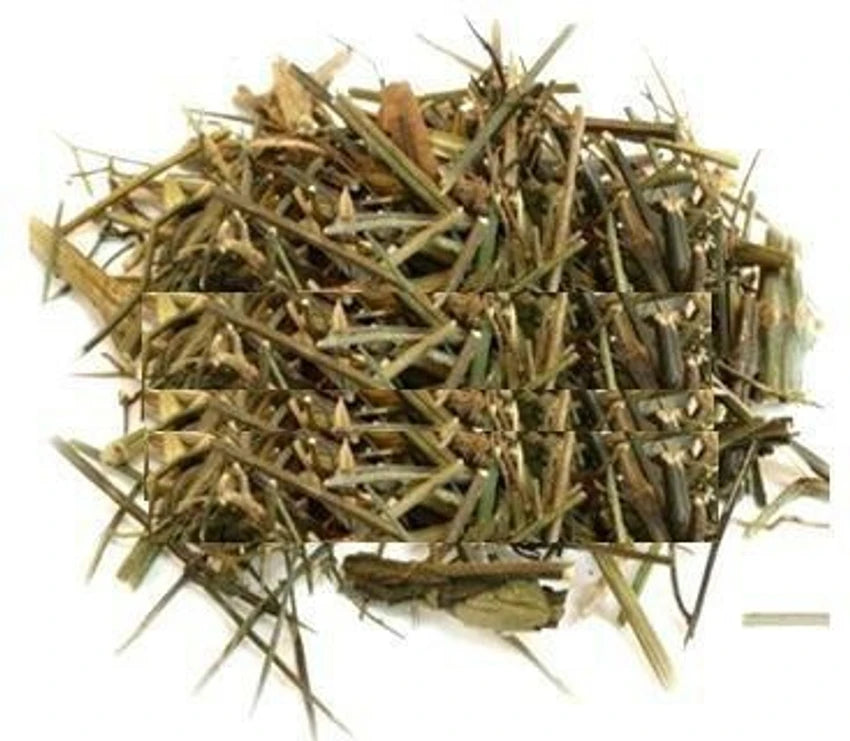 Chirata – 100g Swertia Chirata Natural Blood Purifier & Fever Relief Herb