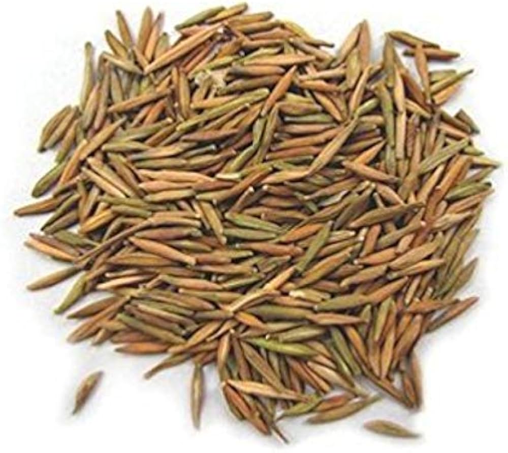 Indra Jau Karwa (Kutaja Seeds) Bitter Ayurvedic Herb