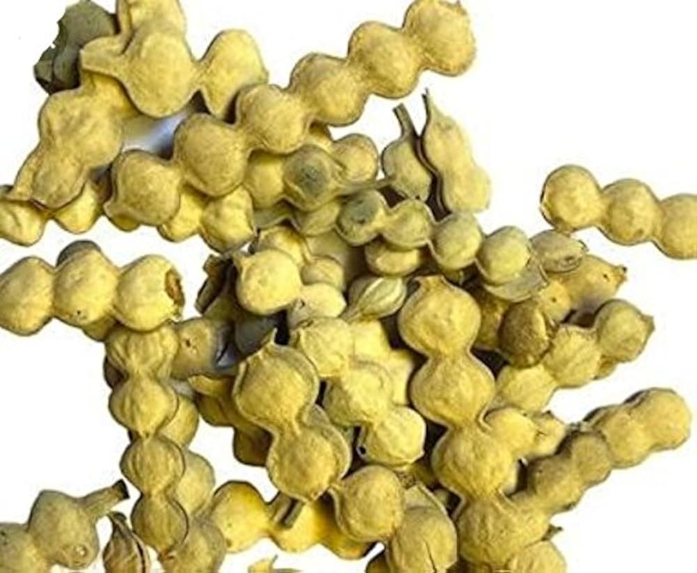 Babul Phali (Kikar Fali) Ancient Ayurvedic Herb