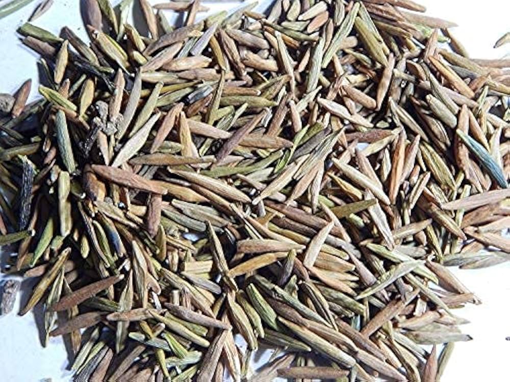 Indra Jau Karwa (Kutaja Seeds) Bitter Ayurvedic Herb