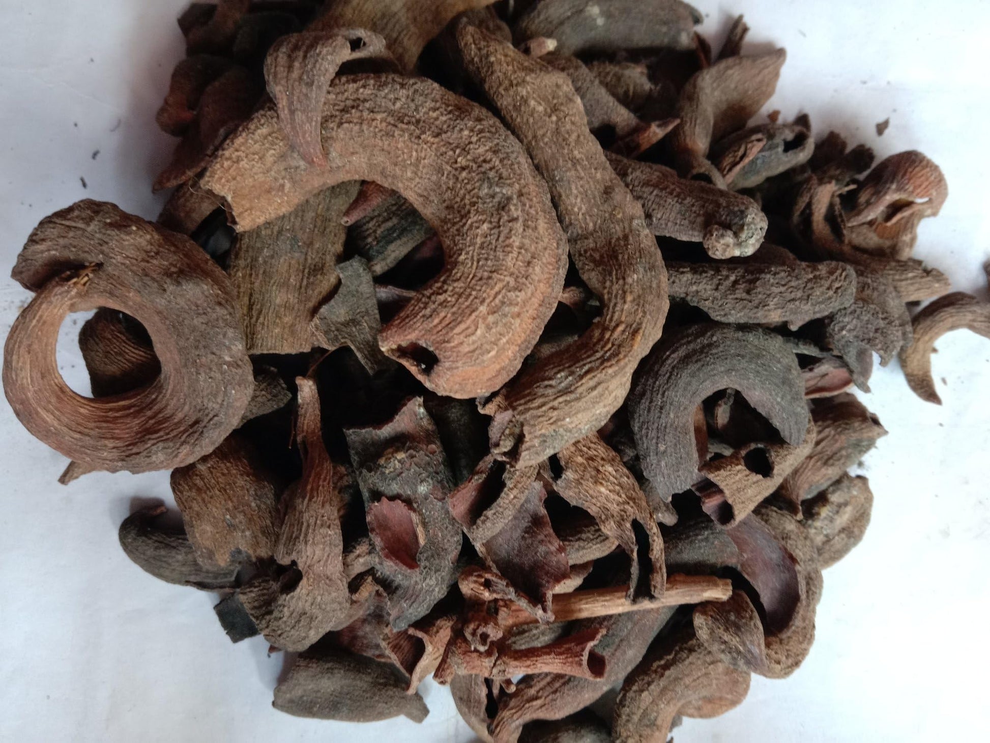 Kakda Singi – 100g | Pistacia Integerrima Pods