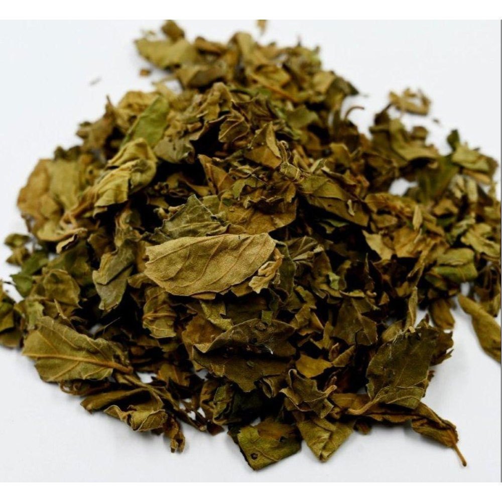 Gurmar Buti (Madhunashini) The Natural Sugar