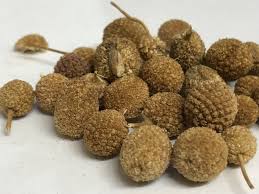 Gorakhmundi (Sphaeranthus Indicus) Ayurvedic Herb