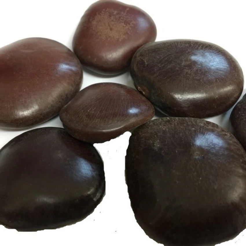 Imli Beej (Tamarind Seeds) Natural Superfood for Digestion