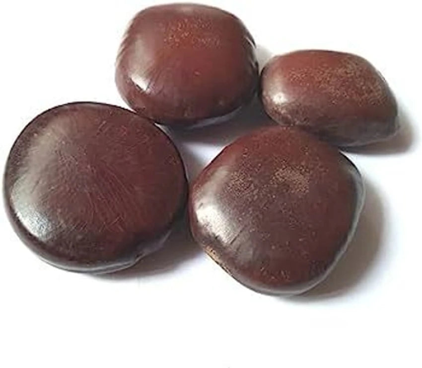 Imli Beej (Tamarind Seeds) Natural Superfood for Digestion
