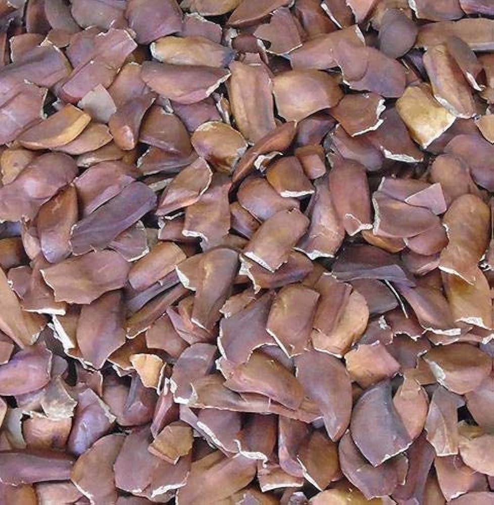 Kadwe Badam – 500g | Medicinal Sea Almonds for Diabetes &amp; Wellness