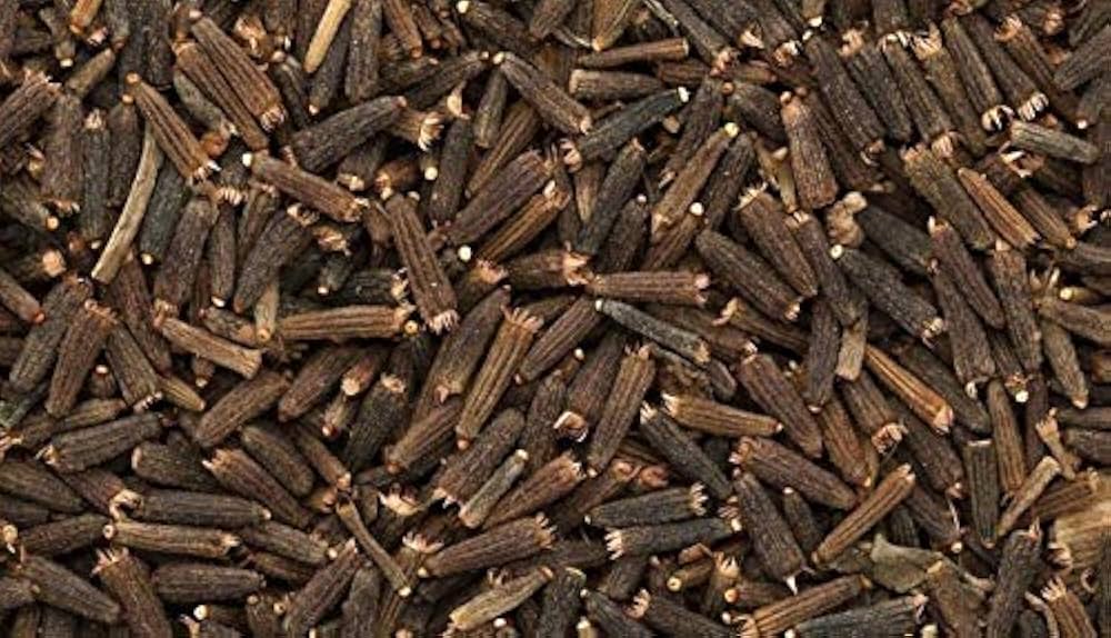 Kaali Jeeri (Centratherum Anthelminticum) Powerful Ayurvedic Herb