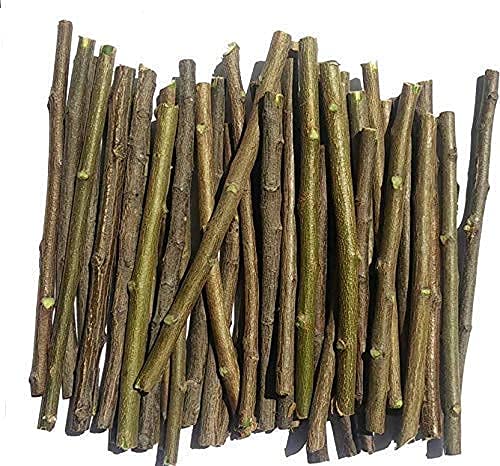 Nature’s Original Neem Datun