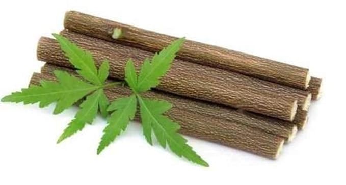 Nature’s Original Neem Datun