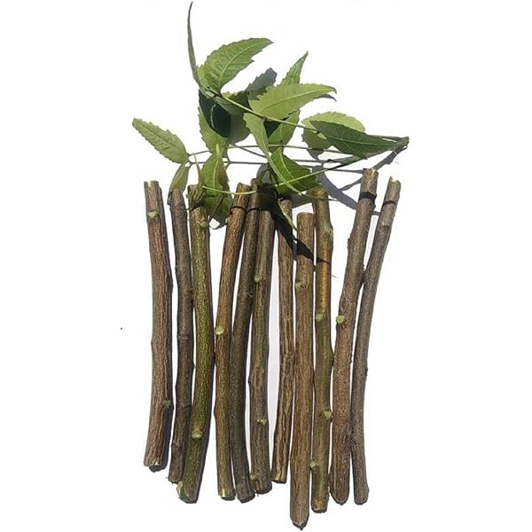 Nature’s Original Neem Datun