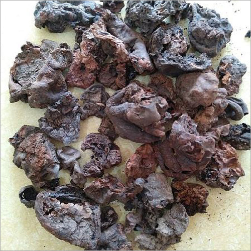 Mochras Natural Gum of Bombax