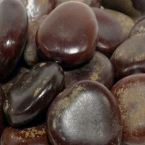 Imli Beej (Tamarind Seeds) Natural Superfood for Digestion