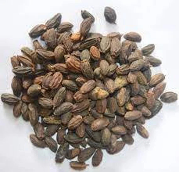 Organic Neem ki Nimboli – 100g