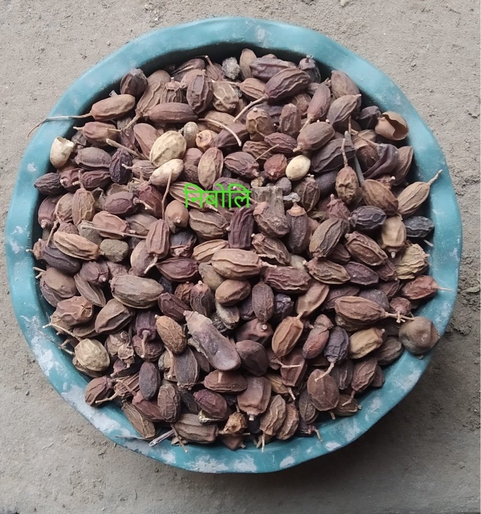 Organic Neem ki Nimboli – 100g