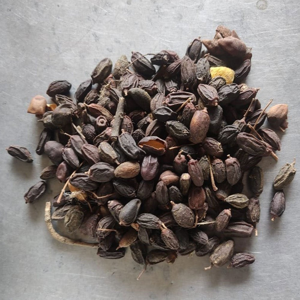 Organic Neem ki Nimboli – 100g